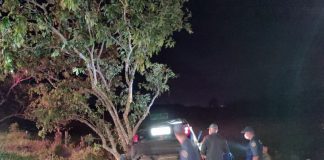 celta batido ao lado de árvore onde mulher morreu na sc 405; três bombeiros em volta; foto noturna