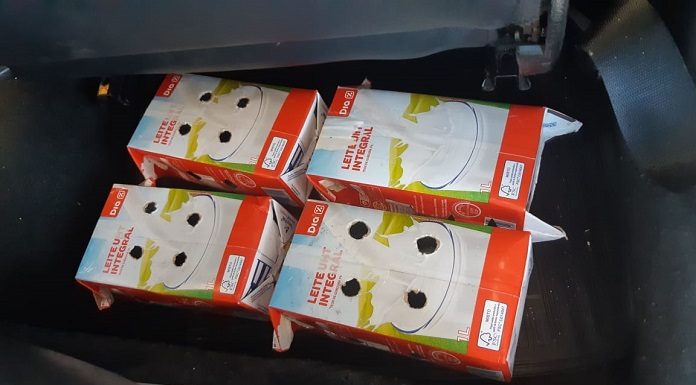 Quatro caixas de leite nas cores branca e vermelha com quatro furos pequenos em cada uma, onde estavam os pássaros presos