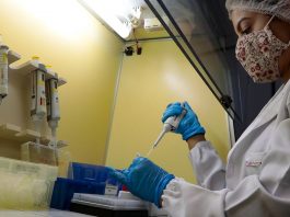 pesquisadora usando trajes de proteção mexe em ampolas de estudo sobre nova variante do coronavírus