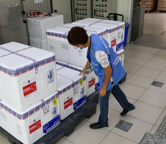 Estado faz mutirão de vacinação de coronavírus no fim de semana distribuição de lote de vacinas em santa catarina mutirão de vacinação - funcionária verifica caixas de isopor com lote de vacina