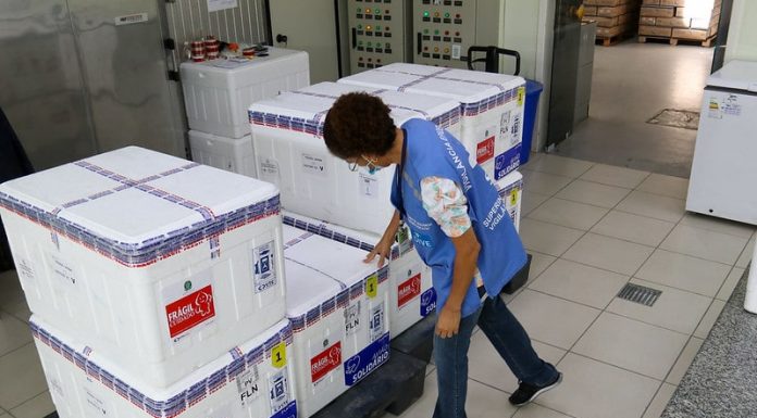 distribuição de lote de vacinas em santa catarina mutirão de vacinação - funcionária verifica caixas de isopor com lote de vacina