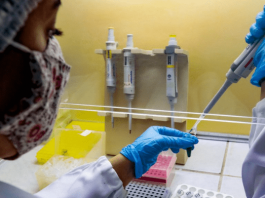 Pesquisadores da UFSC identificam transmissão local de variante da Covid-19 em SC Pesquisadores UFSC - nova variante da covid-19