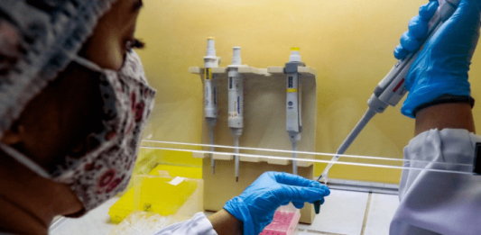 Pesquisadores UFSC - nova variante da covid-19