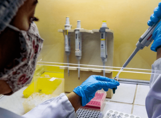 Pesquisadores UFSC - nova variante da covid-19