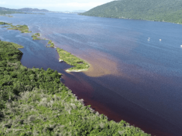 IMA tem resultados preliminares sobre a Lagoa da Conceição