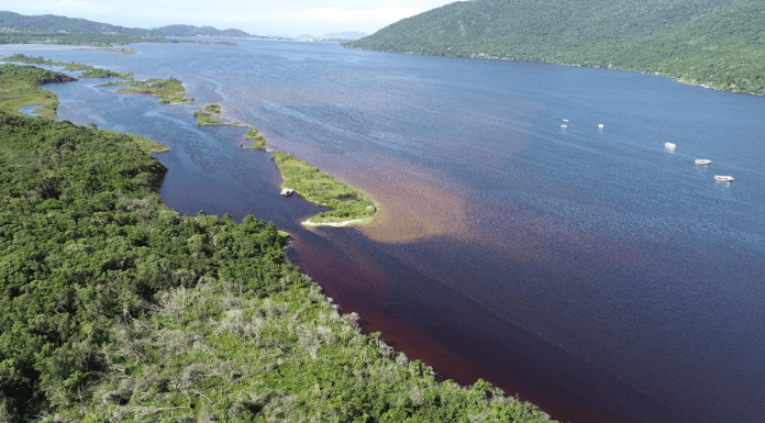 IMA tem resultados preliminares sobre a Lagoa da Conceição