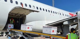 três caixas de isopor sobre esteira saindo de compartimento de carga do avião; nas caixas há as doses de vacinas contra coronavírus para vacinação contra covid