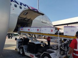 lote em quatro caixas de isopor saindo de esteira de dentro do avião