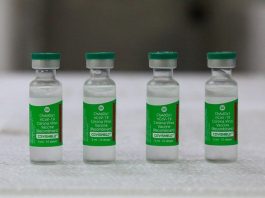 quatro ampolas de doses de vacinas - sc recebe novo lote