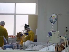 Hospitais da Grande Florianópolis lotam com casos de dengue dois profissionais de saúde vistos de costas dentro de hospital; eles usam epi. em primeiro plano paciente intubado - sc tem fila de espera de uti de quase 400 pacientes