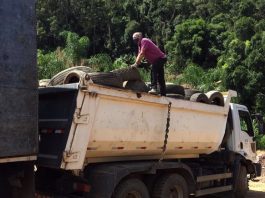 Mais de 1.400 pneus são recolhidos na Grande Florianópolis para evitar dengue homem em cima de caminhão repleto de pneus recolhidos em caçamba; mata ao fundo