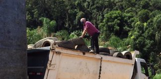 homem em cima de caminhão repleto de pneus recolhidos em caçamba; mata ao fundo