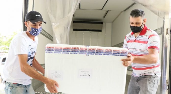 Florianópolis e São José receberão 17 mil doses da vacina Pfizer na próxima semana dois homens usando máscara carregam caixa de isopor - Florianópolis e São José receberão 17 mil doses da vacina Pfizer na próxima semana