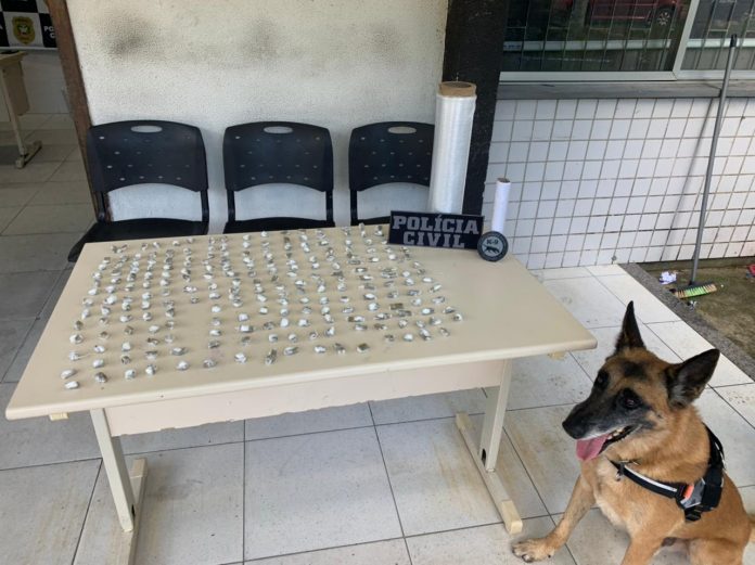 diversos pequenos pacotes de maconha embalada organizados sobre mesa e cachorro ao lado