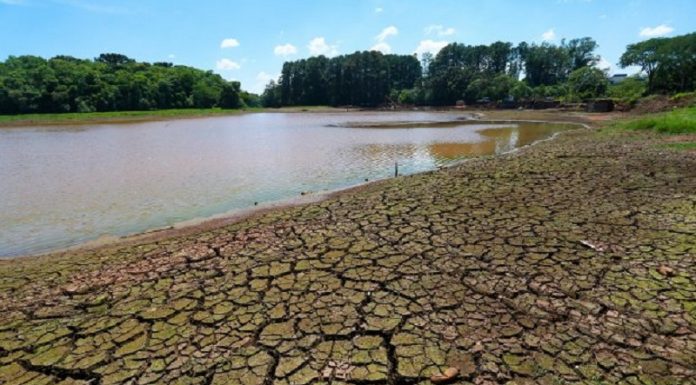 Ao fundo árvores, o dia é ensolarado, no chão em destaque o solo seco com água recuada ao fundo. Santa Catarina vive o agravamento da seca, de acordo com o boletim hídrico.