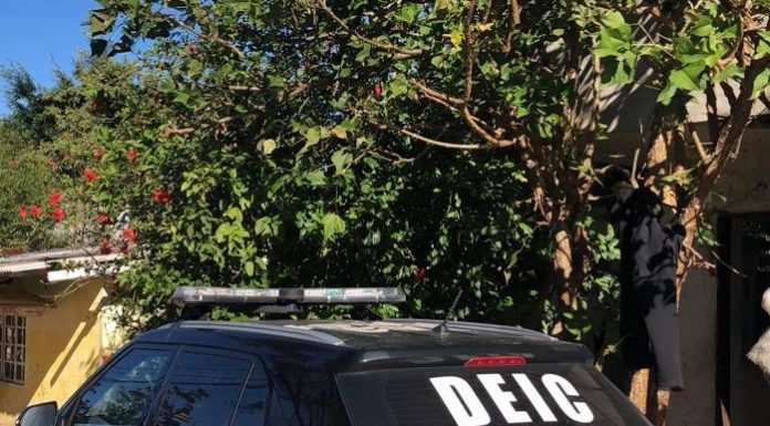 carro da deic estacionado ao lado de árvores - presas duas pessoas por parcelamento irregular do solo