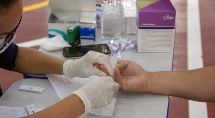 testes e novos casos diários na grande florianópolis