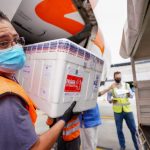 homens usando máscara retiram caixa de isopo de avião - lote de 250 mil doses chega em sc