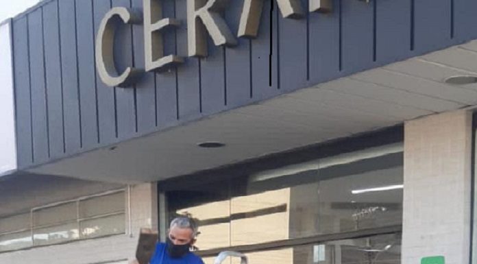 Balneário Camboriú inicia plantio de mais 150 mudas de árvores pessoas plantando árvore