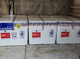 caixas de isopor das vacinas - Cerca de 250 mil doses de vacina devem chegar ao estado nesta semana