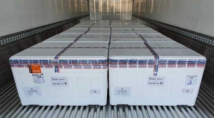 Com essas remassas estado soma 2,75 milhões de doses recebidas. - doses chegam sc