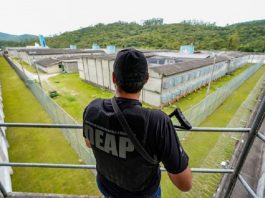 Temporários na Polícia Penal serão mantidos, diz governo de SC De costas, uma pessoa aparece de boné, camiseta e colete pretos, ele carrega um armamento e observa uma área que parece ser um presídio. Nesta semana, o governo convocou 213 policias penais