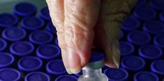 mão feminina segura ampola de vacina sobre lote - vacinaçãona educação em sc é ampliada