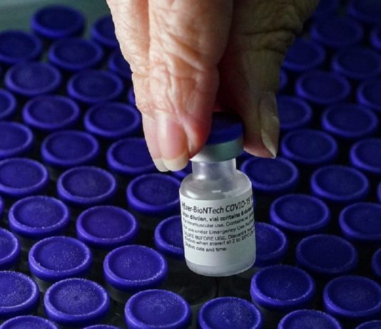 Oito grupos de profissionais da educação são chamados para vacinação de Covid mão feminina segura ampola de vacina sobre lote - vacinaçãona educação em sc é ampliada