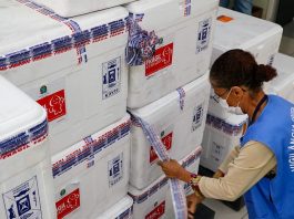 Santa Catarina tem 895 mil doses de vacina contra a Covid em estoque profissional usando colete da vigilância embala caixas de isopor onde há o estoque de doses de vacina contra covid de sc