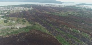 Área do parque da serra do tabuleiro vista de cima, se vê as áreas verdes e ao fundo o mar, um projeto no parque vai receber o valor de uma multa ambiental.