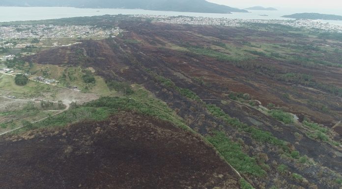 Multa ambiental será destinada a projeto no Parque da Serra do Tabuleiro Área do parque da serra do tabuleiro vista de cima, se vê as áreas verdes e ao fundo o mar, um projeto no parque vai receber o valor de uma multa ambiental.