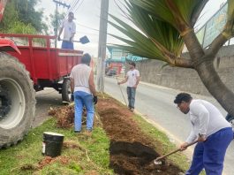 Em um trecho do trevo, trabalhadores mexem na terra para o projeto de arborização da fundação de meio ambiente de São José.