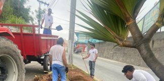 Em um trecho do trevo, trabalhadores mexem na terra para o projeto de arborização da fundação de meio ambiente de São José.