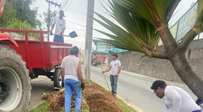 Em um trecho do trevo, trabalhadores mexem na terra para o projeto de arborização da fundação de meio ambiente de São José.