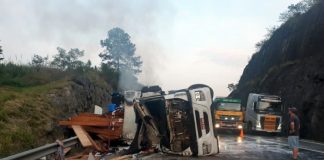 Caminhão tomba e carga de madeira mata quatro pessoas esmagadas na BR 101