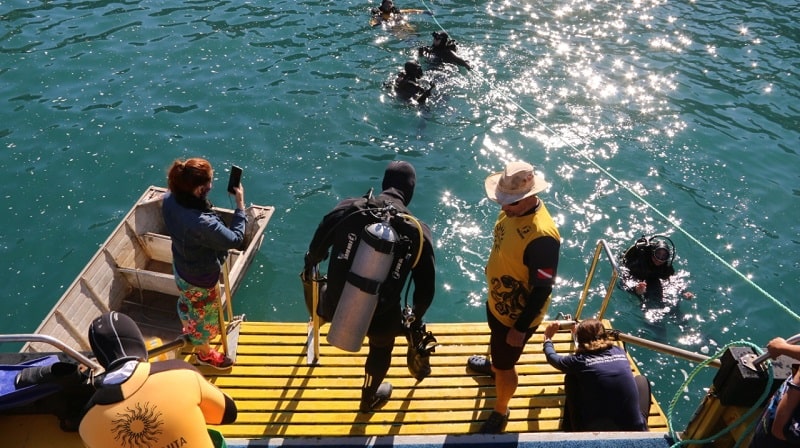 grupo de voluntários em embarcação: homem com trajes de mergulho desce para água observado por outras pessoas
