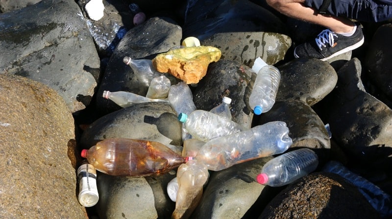 garrafas de plástico sobre costões da reserva do arvoredo