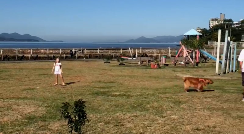 Parque do parque de Coqueiros foi interditada para limpeza após boatos de mortes de cachorros