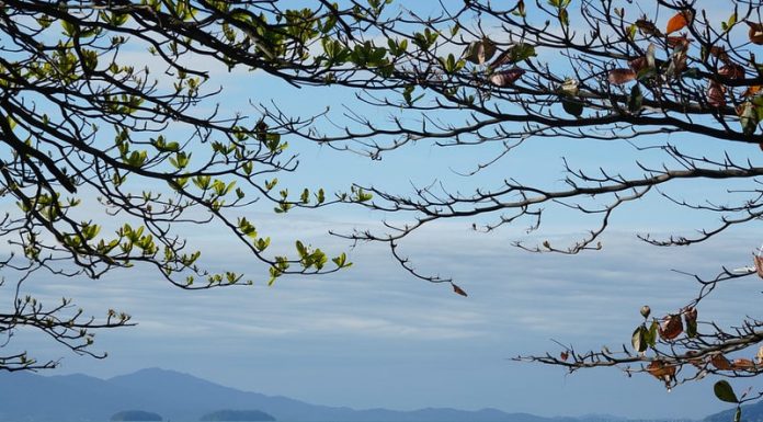 clima para amanhã é de pouca nebulosidade e tempo firme