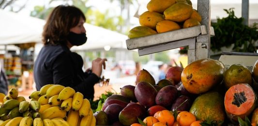 feiras de orgânicos - política de economia solidária em santa catarina