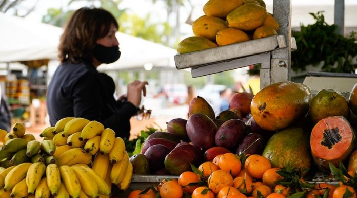 feiras de orgânicos - política de economia solidária em santa catarina