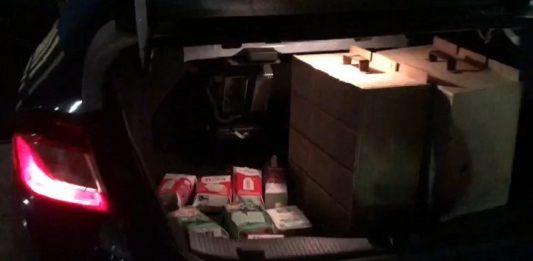 caias de leite e caixa onde estavam os pássaros silvestres em flagrante na br 101 em palhoça