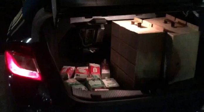 caias de leite e caixa onde estavam os pássaros silvestres em flagrante na br 101 em palhoça