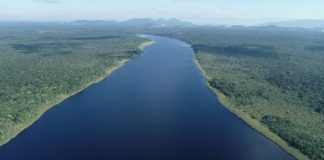 foto aérea de rio cruzando unidade de conservação em Santa catarina