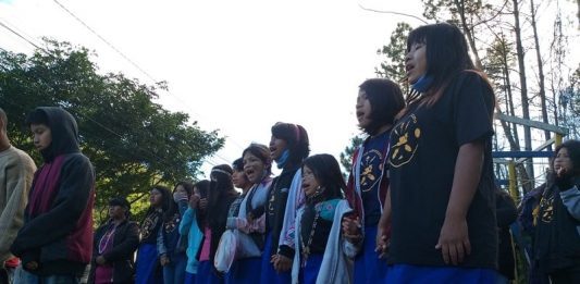 Indígenas protestam em Florianópolis e Palhoça contra projeto de demarcação de terras mulheres indígenas cantando em protesto na ti morro dos cavalos contra pl 490