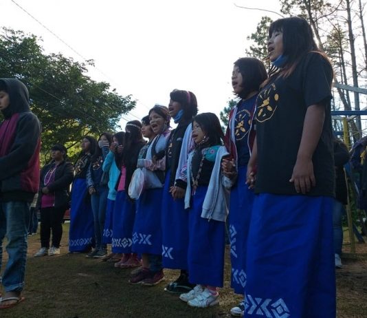mulheres indígenas cantando em protesto na ti morro dos cavalos contra pl 490