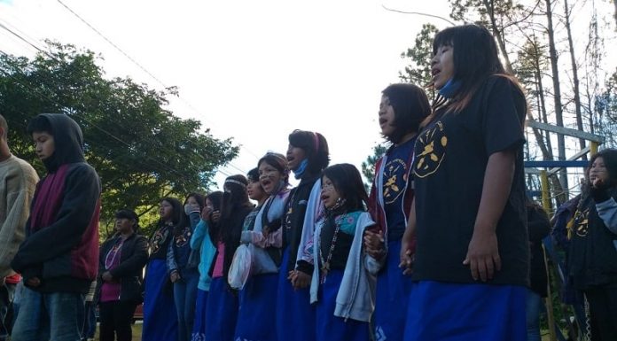 mulheres indígenas cantando em protesto na ti morro dos cavalos contra pl 490