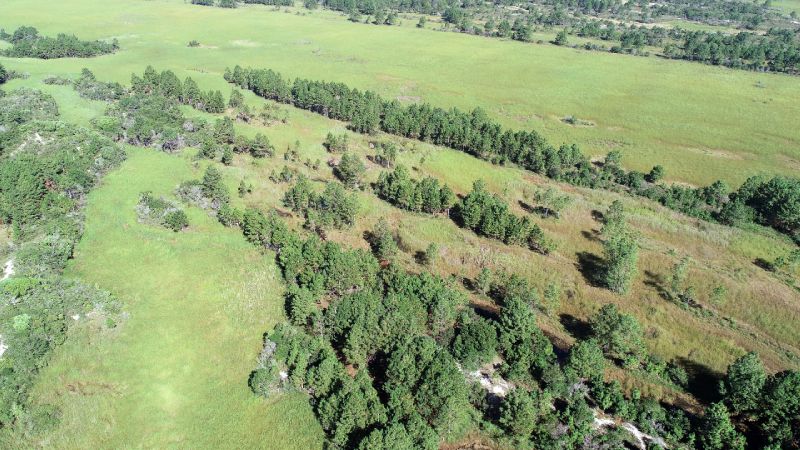 foto aérea de área verde mostra recuperação do parque da serra do tabuleiro
