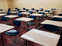 sala de aula com carteiras organizadas - Justiça proíbe município de Florianópolis de suspender aula de turma com caso suspeito