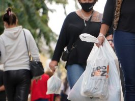 Auxílio de R$ 900: saiba como poderá ser usado o benefício emergencial de SC